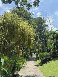Oasis Garden: Sunday Blooming Like My Excuses
