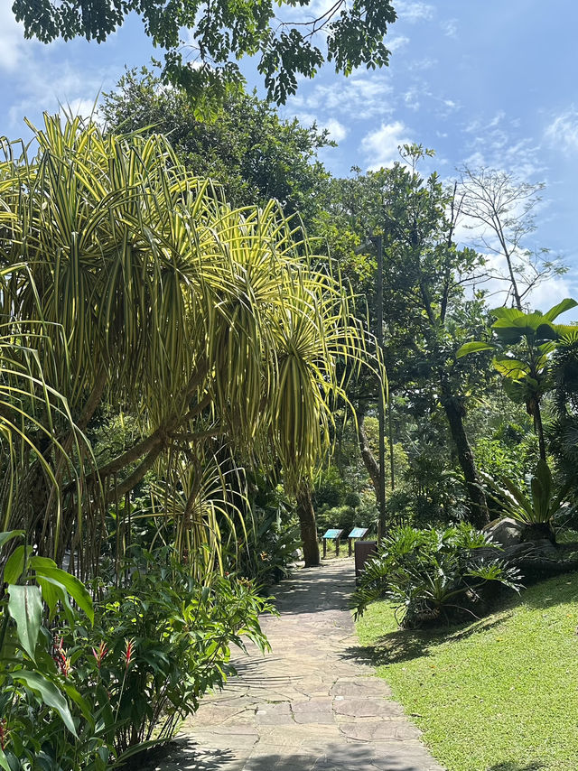Oasis Garden: Sunday Blooming Like My Excuses