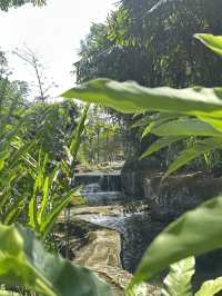 Oasis Garden: Sunday Blooming Like My Excuses
