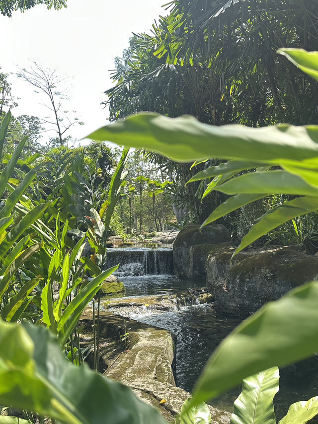 Oasis Garden: Sunday Blooming Like My Excuses