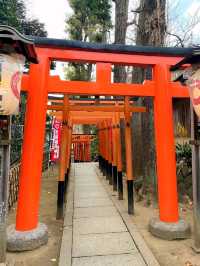 Peaceful Strolls at Ueno Park – A Calm Corner in Tokyo