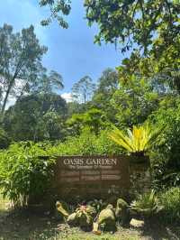 Oasis Garden: KL’s Hidden Haven of Peace and Greenery