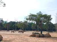 Vinpearl Safari Fun