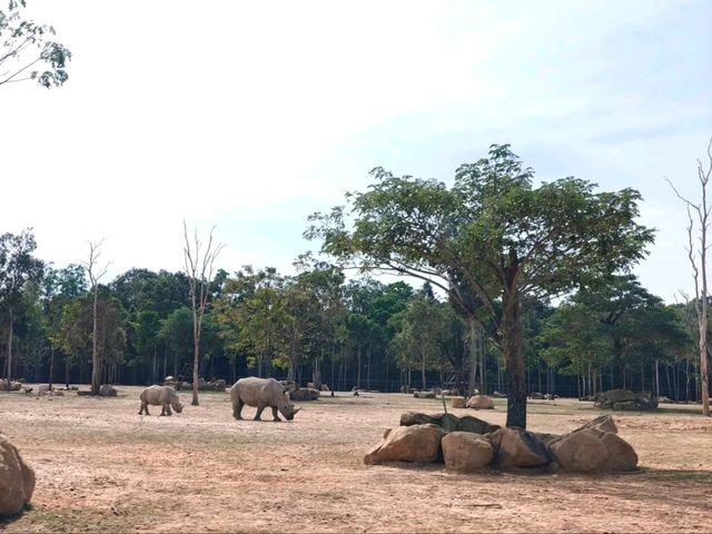 Vinpearl Safari Fun