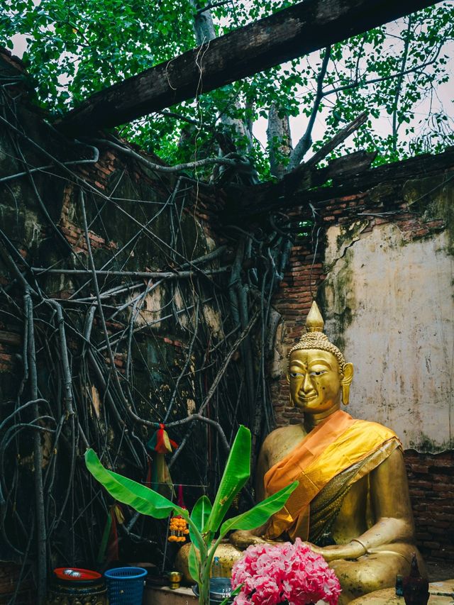 🌿 วัดสังกระต่าย Unseen ของอ่างทองที่แท้จริง