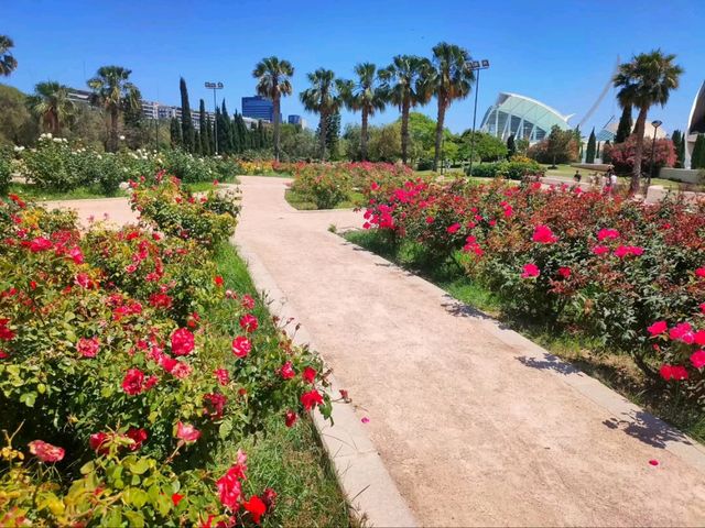 Turia Gardens