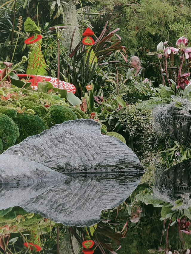 🌿 Cloud Forest — Singapore’s Climate-Controlled Paradise