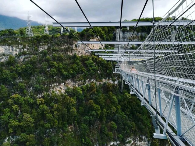 Sky High Walks & Adrenaline Feels at Sochi Skypark