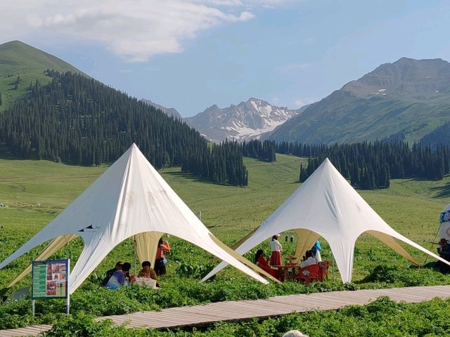 Nalati Scenic Area：Harmonious Grassland Scenery