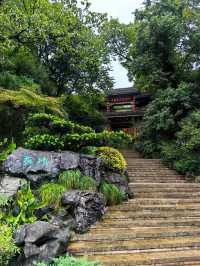 China National Tea Museum 🍵 