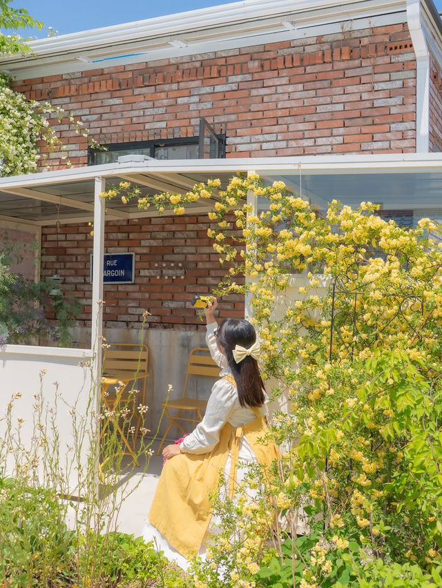행복한 사장님이 가꾸시는 장미 정원 카페🌼💛