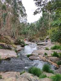 Fresh Dips and Forest Vibes at Piscinas Naturales