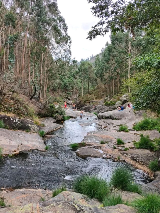 Fresh Dips and Forest Vibes at Piscinas Naturales