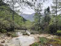 🐉 Huanglong Scenic Area 黄龙风景区 | China’s Fairyland in the Mountains