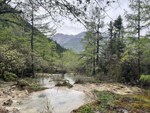 🐉 Huanglong Scenic Area 黄龙风景区 | China’s Fairyland in the Mountains