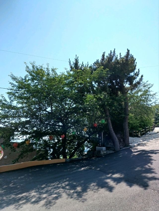 오션뷰 명상 스팟💆‍♀️