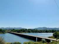 🌿🦆 *Ansim Wetland Ecological Park (안심습지생태공원): Daegu’s Hidden Nature Sanctuary* 🚶‍♀️📸