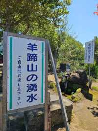 羊蹄山の麓に湧く、いつも変わらぬ清らかな名水🌿💧