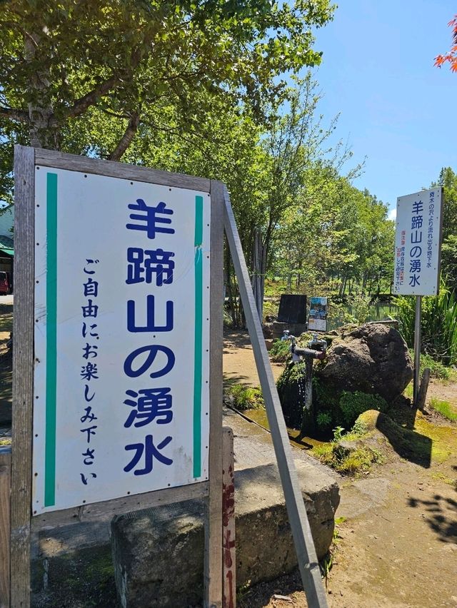 羊蹄山の麓に湧く、いつも変わらぬ清らかな名水🌿💧