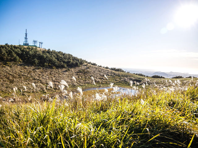 하늘을 걷는 순간, 제주에서 인생샷 날리다 🌾🏔