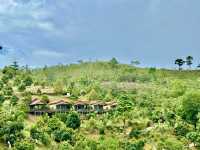🌲 Nature’s Palette Comes Alive at Ethos Forest — Just Beyond Bentong 🌄