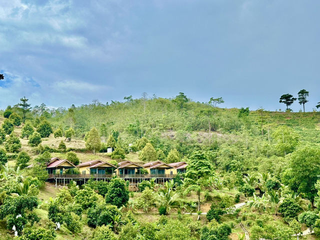 🌲 Nature’s Palette Comes Alive at Ethos Forest — Just Beyond Bentong 🌄