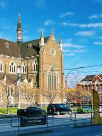 ✨Wandering into Summer — A Sweet Stop by Saint Mary Catholic Church, Melbourne ⛪🍊