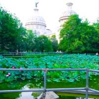 “Lotus Shade Sanctuary of Bishagang”