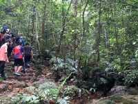 A Hidden Green Escape – Hutan Simpan Renggam Awaits