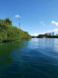 Nature Breezes at Laguna Nichupté