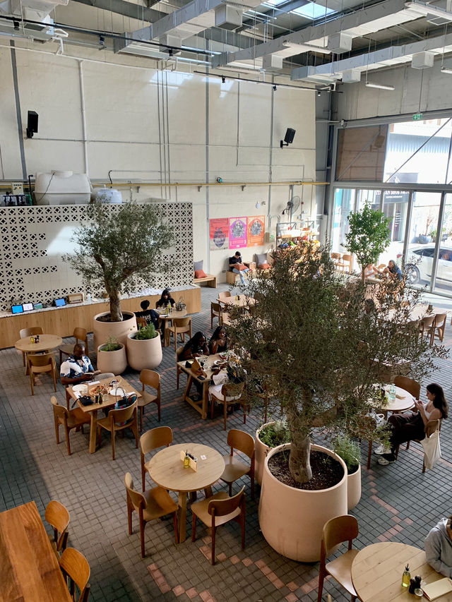 Dubai’s Most Unique Café: Farm-to-Table & Telework at The Growhouse