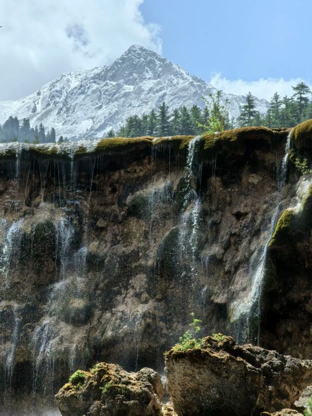 Fragile Beauty: The Magic of Pearl Shoal Waterfall