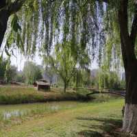 🌿 Yintan Wetland Park — Nature’s Calm by the Sea
