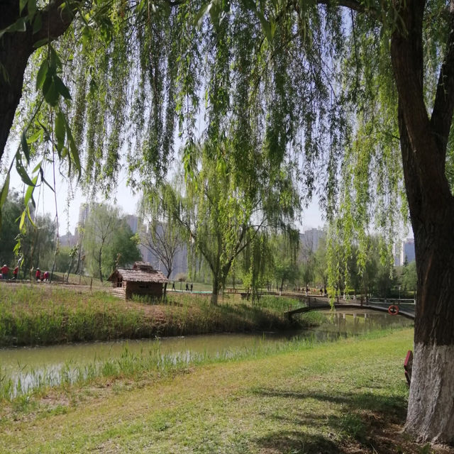 🌿 Yintan Wetland Park — Nature’s Calm by the Sea