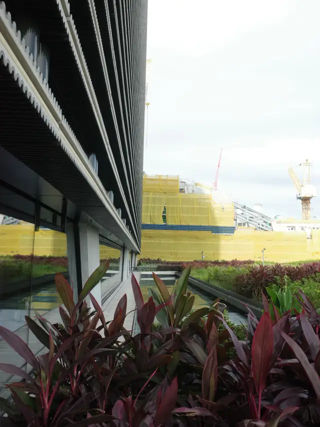 Hong Kong M+ Rooftop Garden: A Sky Garden Embracing Victoria Harbor