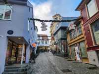 Fjord Views and Urban Charm in Stavanger