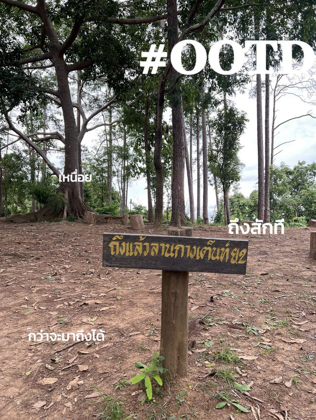 ลานกางเต็นท์ ย.2 ดอยขุนตาล ลานกางเต็นท์ ย.2 ดอยขุนตาล