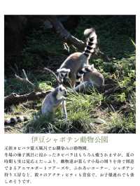 夏休みまだ間に合う！首都圏から日帰りで行ける動物園・水族館