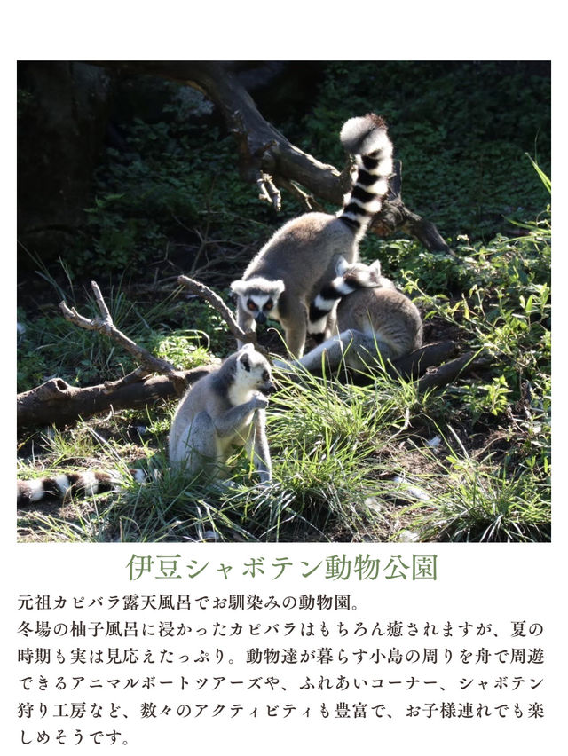 夏休みまだ間に合う！首都圏から日帰りで行ける動物園・水族館