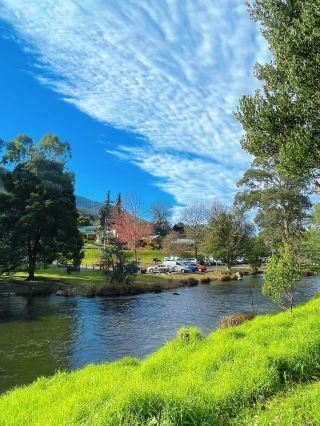 Warburton: A hidden gem of greenery in Melbourne's valleys
