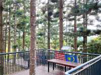 Pine Walk Bliss at Saujana Hijau