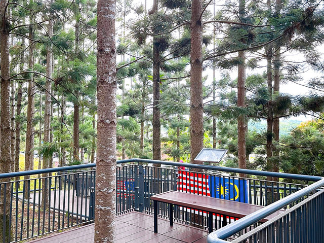 Pine Walk Bliss at Saujana Hijau Pine Walk Bliss at Saujana Hijau