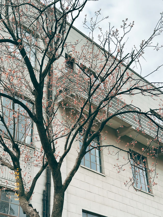 Phủ Tổng Thống ở Nam Kinh