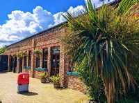 Reddish Vale Country Park – Nature on the Edge of the City