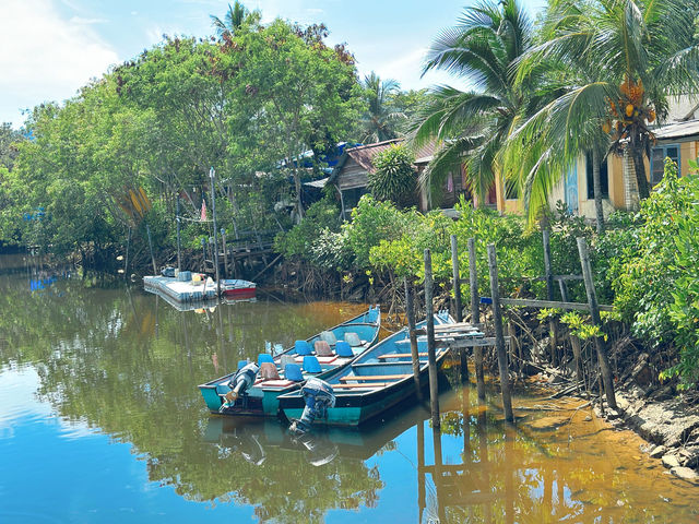 Cherating Mangrove Park – Nature’s Hidden Classroom
