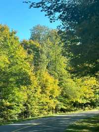 Meech Lake – A Serene Escape in Gatineau Park