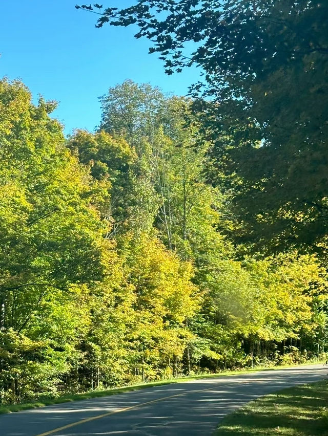 Meech Lake – A Serene Escape in Gatineau Park