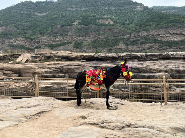 Day Trip Itinerary — Yellow River History & Culture