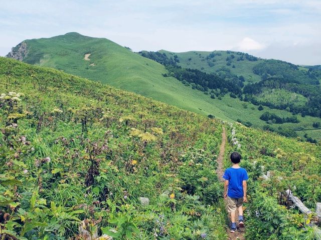Rebun Island – Hokkaido’s Flower Island!
