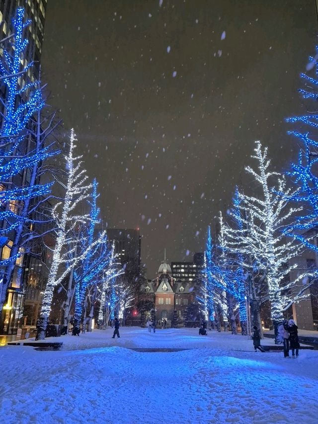 📸삿포로 중심지에서 사진찍기 좋은 곳 추천📸